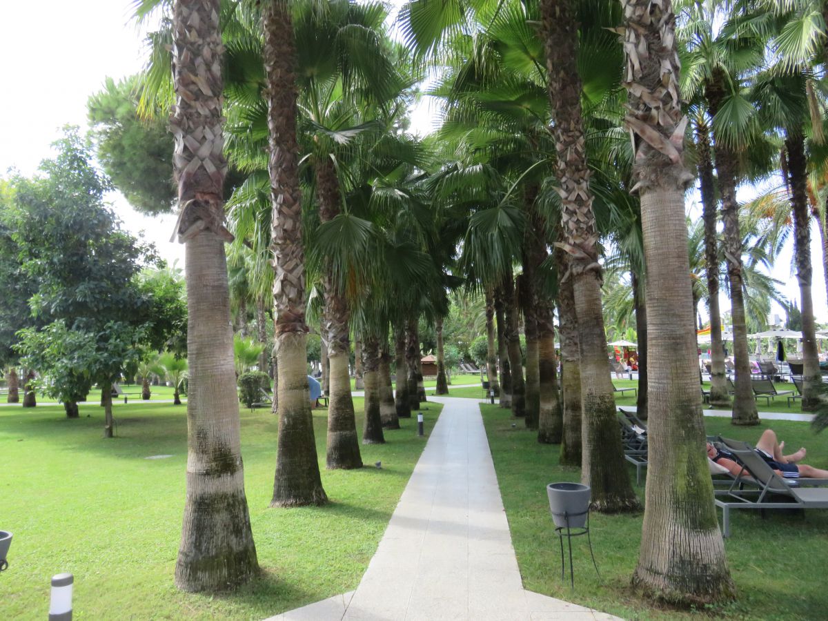 imagini hotel Miramare Beach Side